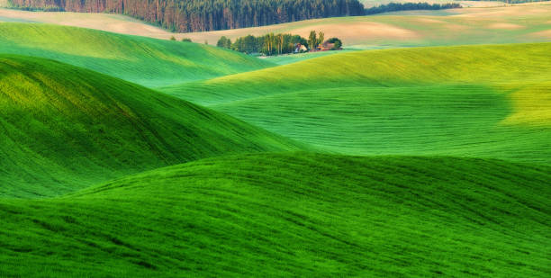 istock spring field. picturesque hilly field. agricultural field in spring 912147052