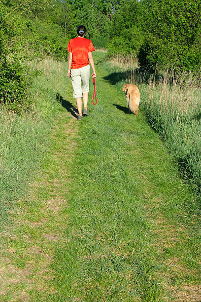 istock Woman with dog 91214727