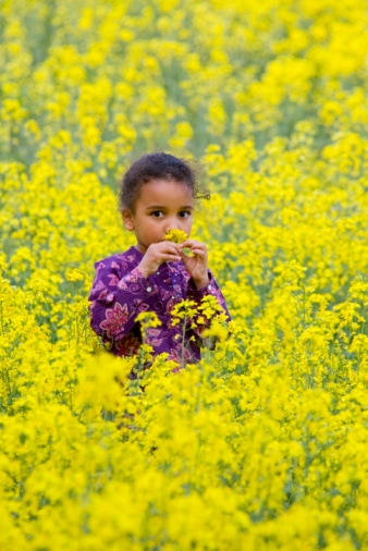 A beautiful young mixed race girl smelling one of the flowers in a field of blooming yellow rapeseed plants