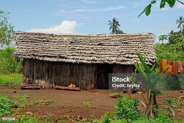 アフリカの小屋 - かやぶき屋根のストックフォトや画像を多数ご用意 - かやぶき屋根, アフリカ, アフリカ文化