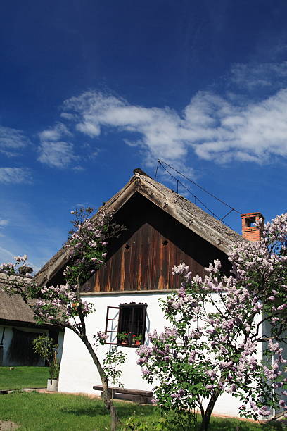 Beautiful Grabowa settlement with few wooden houses and hills on the background above Brenna village in Beskid Slaski mountains in Poland