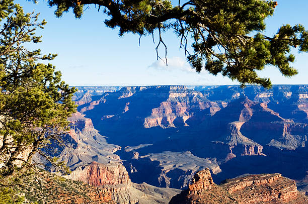 istock Grand Canyon Framed in Morning Sunlight 91215721