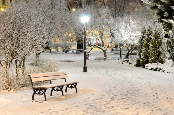 istock snow on trees in Riga park by night 912158754