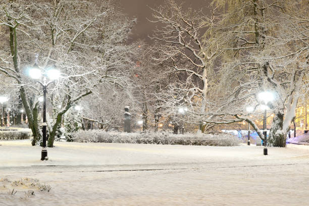 istock snow on trees in Riga park by night 912158756