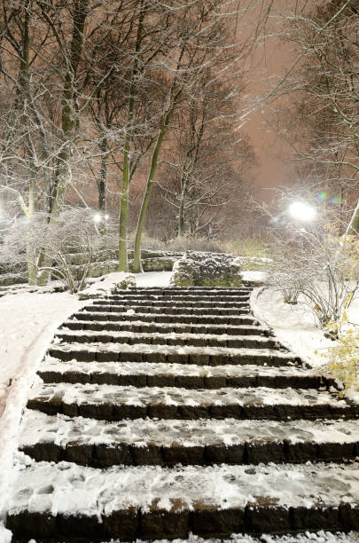 istock snow on trees in Riga park by night 912158806