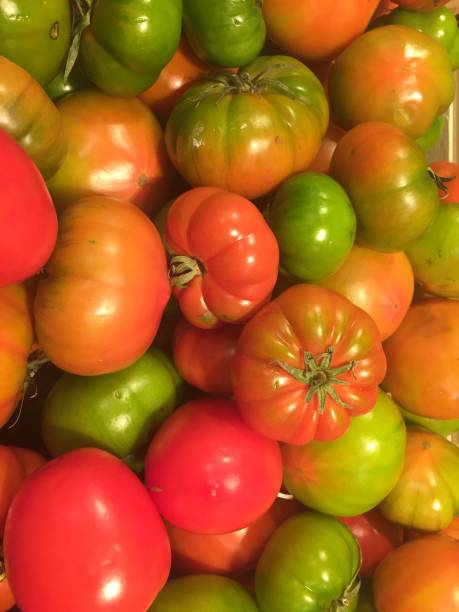istock Heap of tomatoes 912159194