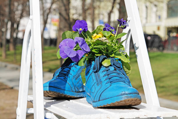 Blue old boots used as flower pots