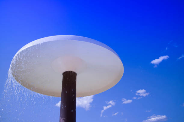 istock Mushroom in a park water 912159608