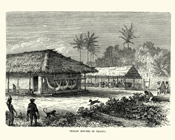 Vintage engraving of Native Indian houses in Brazil, 19th Century