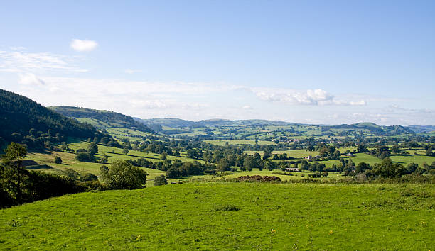 istock Rolling countryside in Wales 91216741