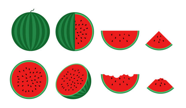 vektor-illustration von frischen wassermelone satz isoliert auf weißem hintergrund - cartoon watermelon stock-grafiken, -clipart, -cartoons und -symbole