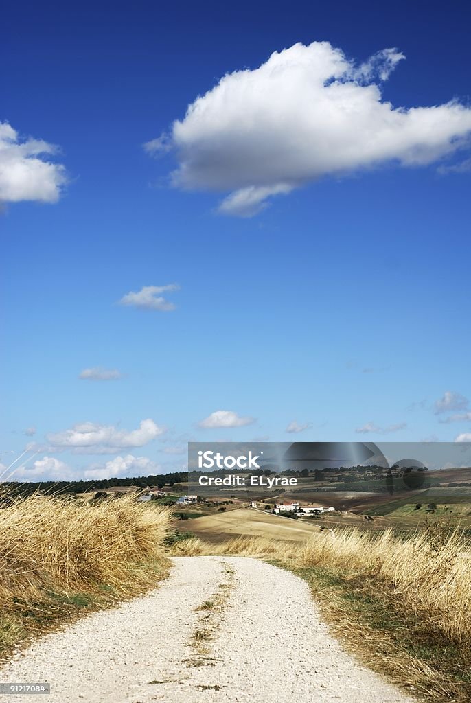 Little lane entre campos cultivados - Royalty-free Agricultura Foto de stock