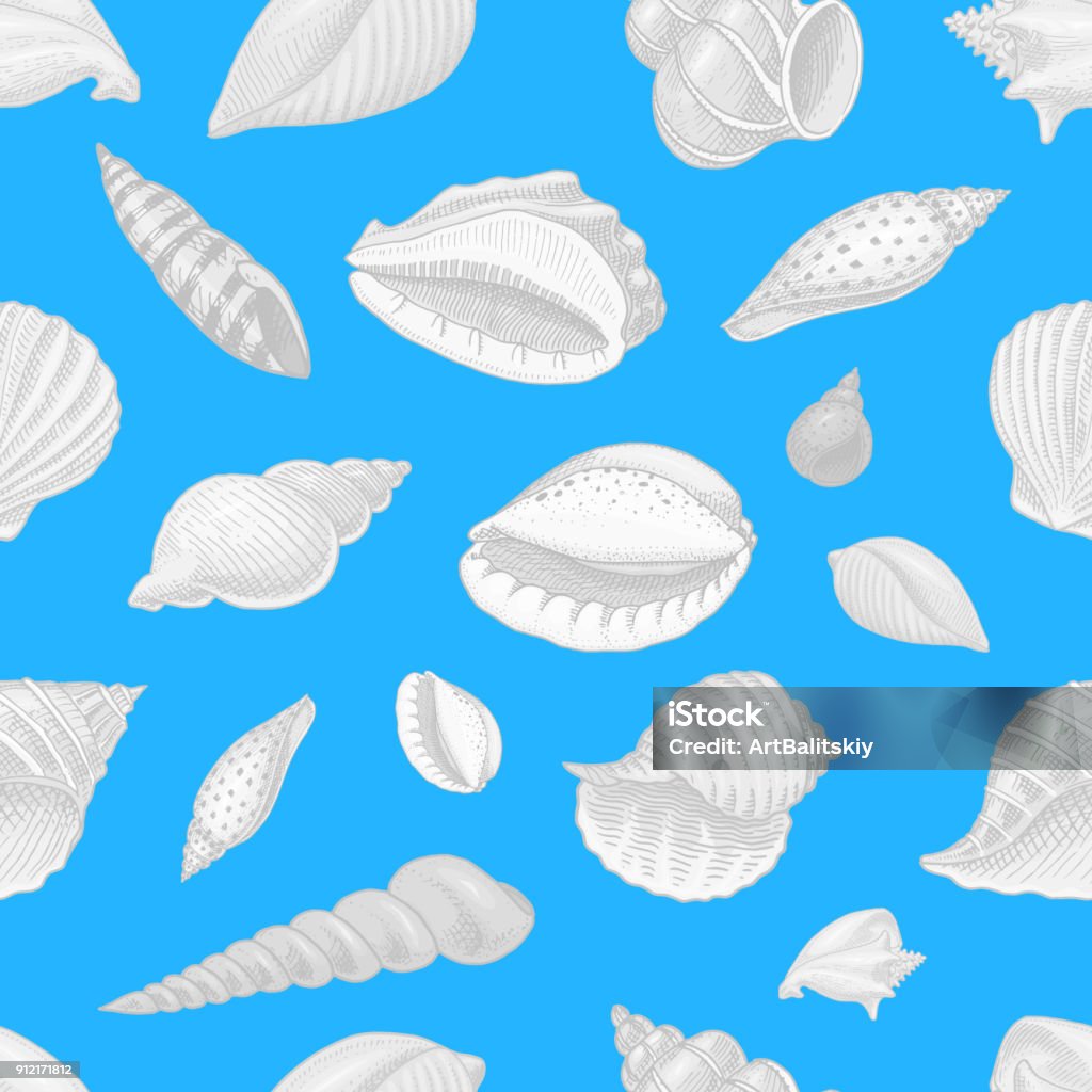 Molusc Pattern Seamless Pattern Shells Or Mollusca Different Forms Sea Creature ...