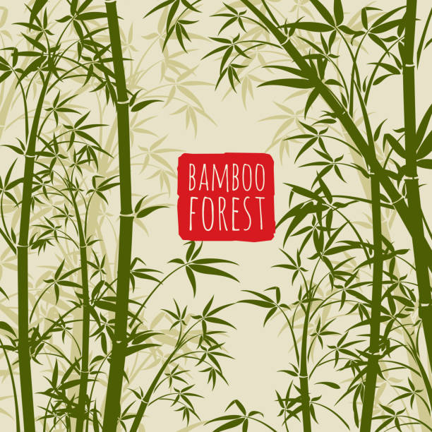 бамбуковый тропический лес вектор обои в японском и китайском стиле искусства - bamboo backgrounds nature textured stock illustrations