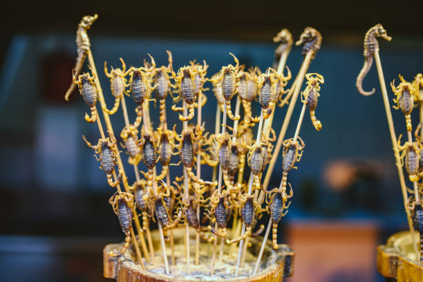 istock Close-Up Of Insects 912175140