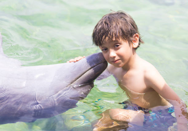 istock Vacation Lifestyle -Happy Boy hugging a dolphin 912180172