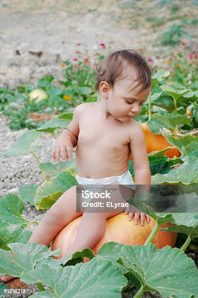 Foto de Bebê E Abóbora e mais fotos de stock de 6-11 meses - 6-11 meses, Agricultura, Bebê