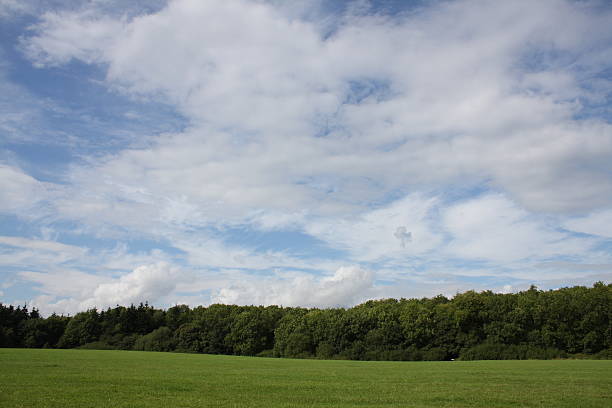 istock Landscape Country Park 91219278