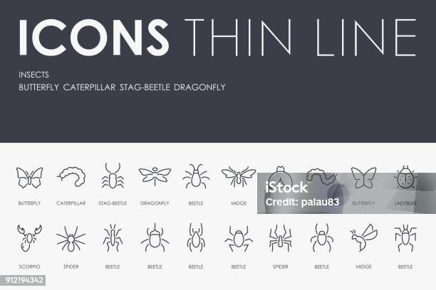 Insects Thin Line Icons Stock Illustration - Download Image Now - Caterpillar, Butterfly - Insect, Vector