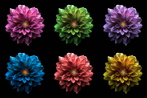 istock Pack of colored surreal dark chrome dahila flowers macro isolated on black 912199466