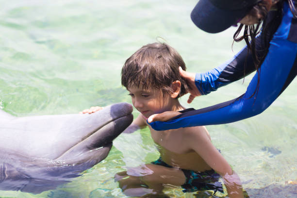 istock Vacation Lifestyle -Happy Boy hugging a dolphin 912200368