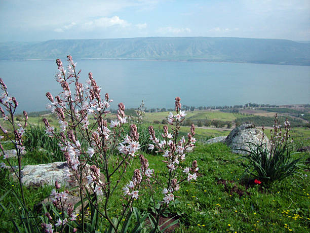istock Galilee Sea, Holy Land 91220069