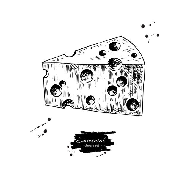 ilustrações de stock, clip art, desenhos animados e ícones de emmental cheese  drawing. vector hand drawn food sketch.engraved - dairy farm dairy product emmental cheese cheese