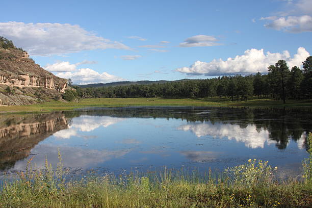 Rocky Mountain National Park - Lily Lake & Thistle