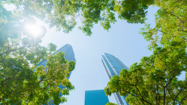 istock perspective exterior pattern blue glass wall modern buildings with green tree leaves 912207856