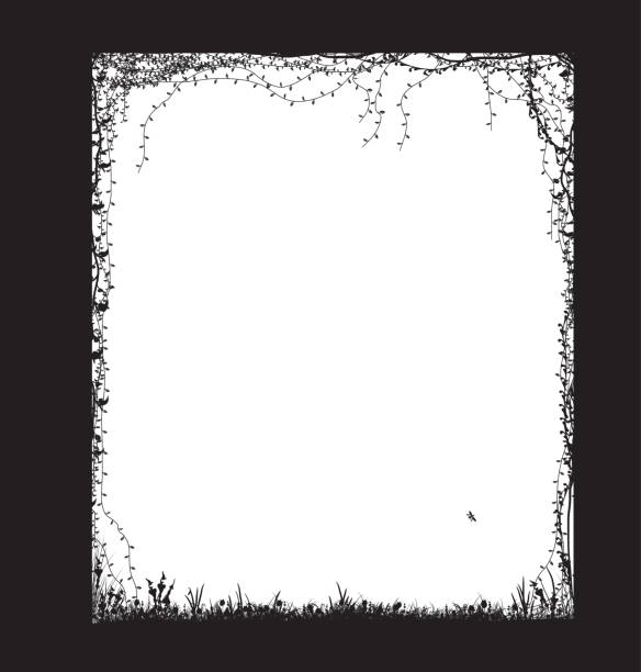 door way with curl vines and plant, summer silhouette, shadows, door way with curl vines and plant, summer silhouette, shadows, background drawing of rosette window stock illustrations