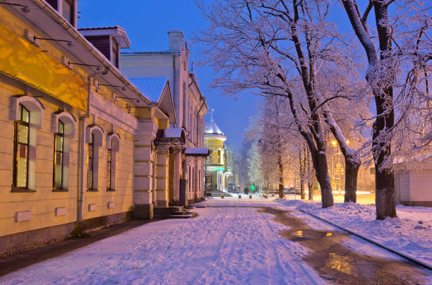 Winter morning with snowy trees in Pskov, Russia Winter morning with snowy trees in Pskov, Russia pskov russia stock pictures, royalty-free photos & images