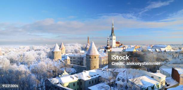 Tallinn City Estonia Snow On Trees In Winter Stock Photo - Download Image Now - Tallinn, Estonia, Winter