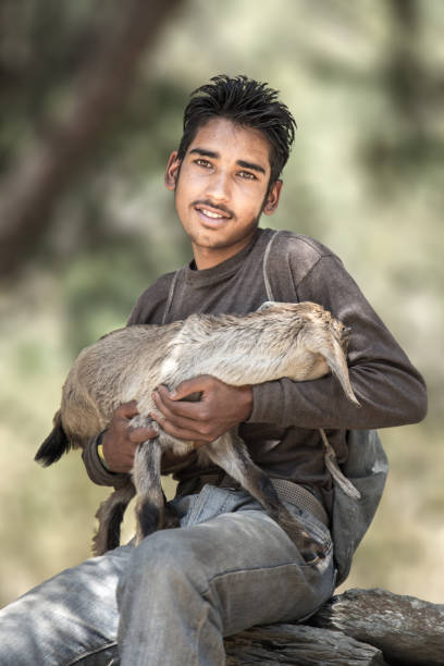 istock Indian boy holding a young kid goat 912226728