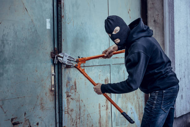 Burglar Burglar breaks metal lock with bolt cutter bolt cutter stock pictures, royalty-free photos & images
