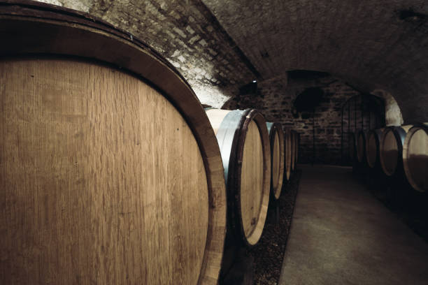 istock Barrels of wine in a wine cellar, an ancient wine cellar with vaulted brick ceilings, winemaking, space for text 912235980
