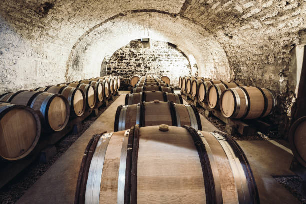 istock Barrels of wine in a wine cellar, an ancient wine cellar with vaulted brick ceilings, winemaking 912235984