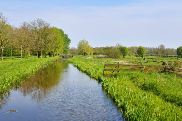 istock Classic Dutch landscape. Polder ditch canal on a green grass field. 912248342