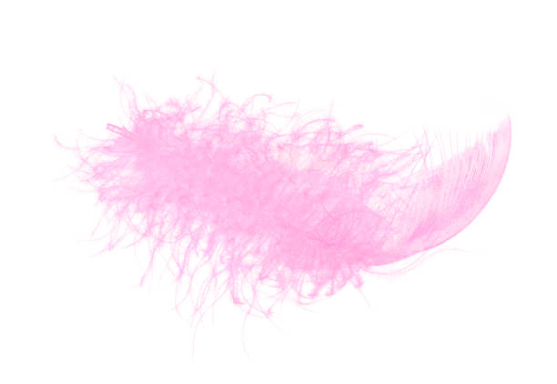 istock Pink light fluffy feather isolated on white background. Trendy color and minimal style. 912251144