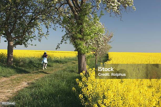 Camminare Nel Campo Di Colza - Fotografie stock e altre immagini di Camminata nordica - Camminata nordica, Primavera, Agricoltura