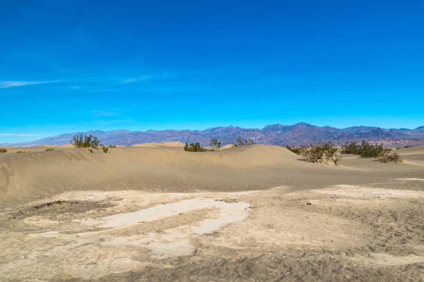 istock Desert in Arizona, US 912255358