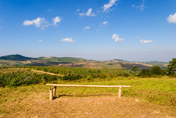 istock Bamboo bench to see view over the mountain 912257150