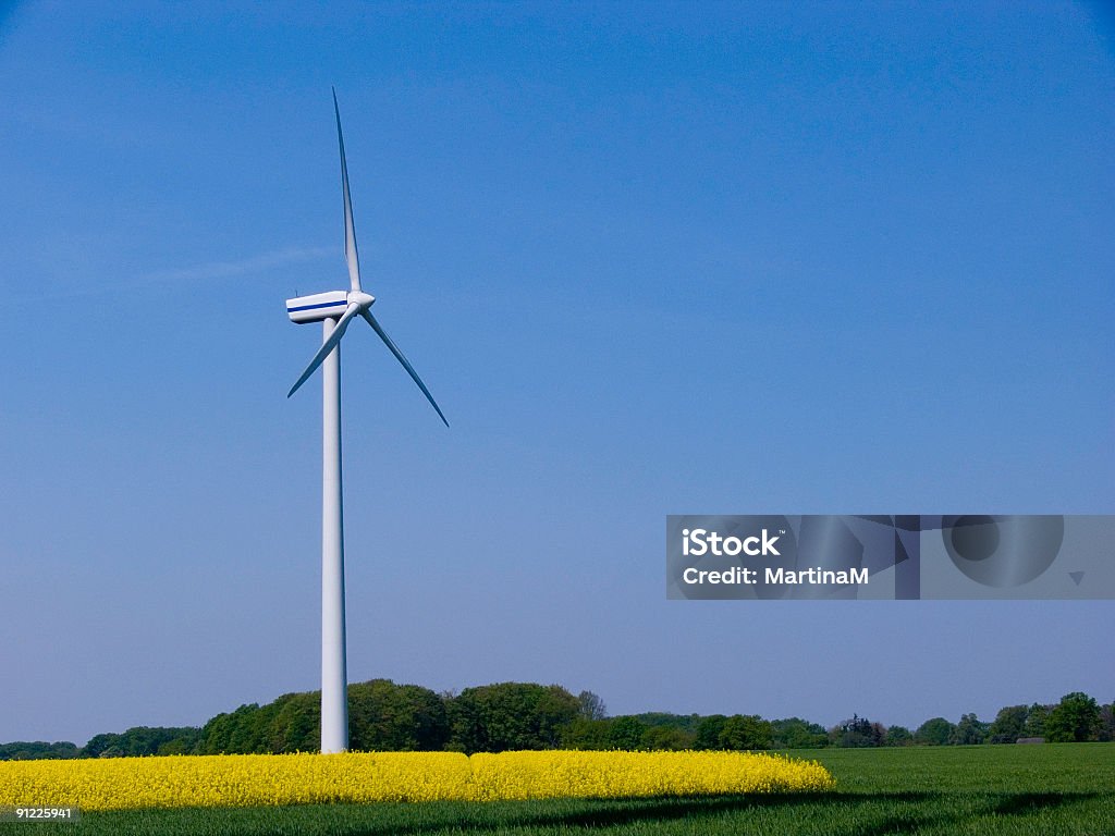 Turbina a vento in un campo di colza - Foto stock royalty-free di Turbina a vento