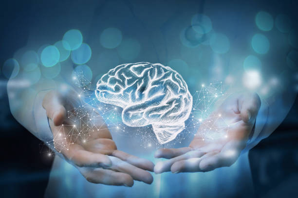 Medic shows in the hands of the brain. stock photo