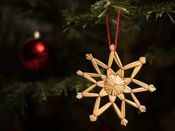 A single straw star hanging on a christmas tree