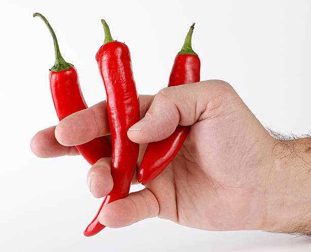 Hot peppers between fingers stock photo