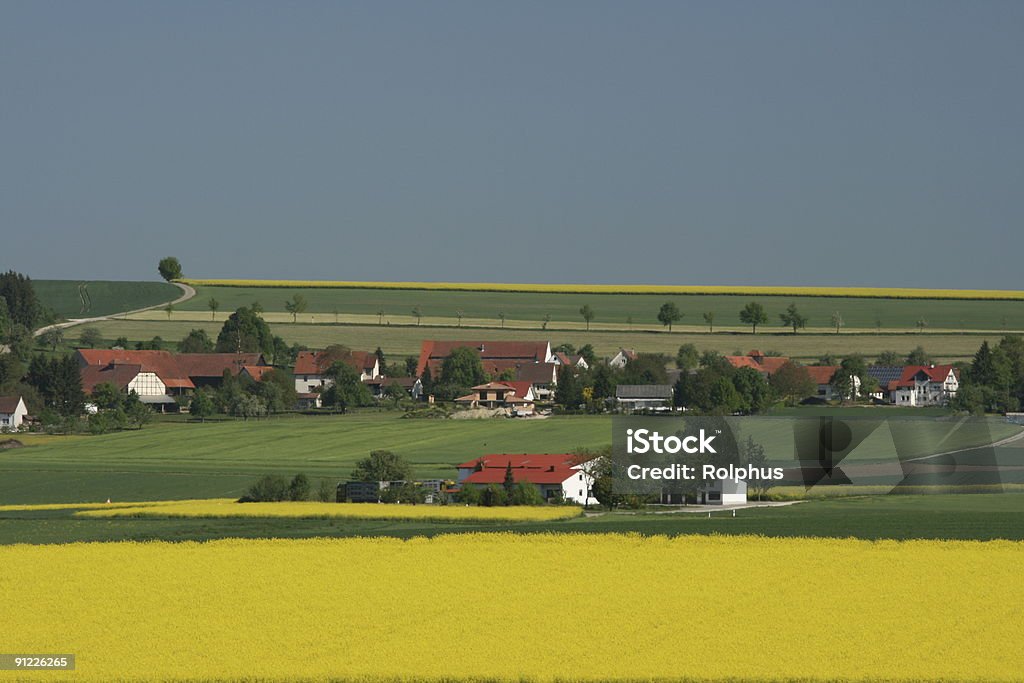 Swabian Town in Yellow Spring  Agricultural Field Stock Photo