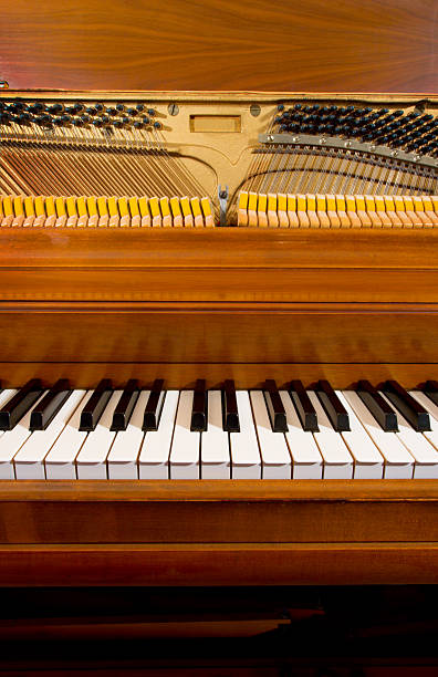 istock Keyboard and Piano Parts 91226438