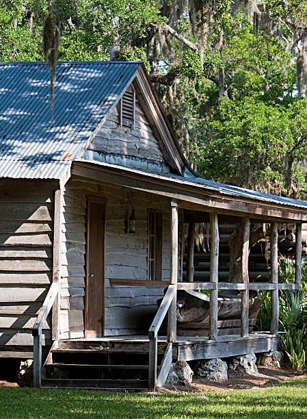 istock Cabin In The Swamp 91226674