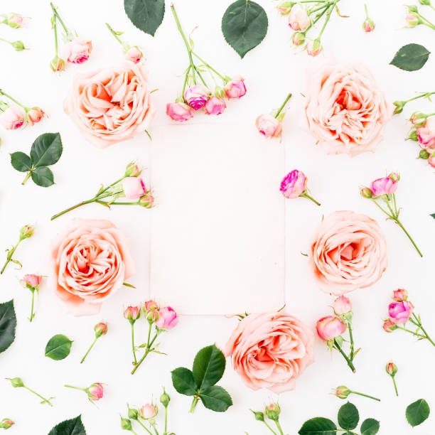 istock Floral background. Round frame with pink roses, petals, leaves isolated on white background. Flat lay, top view. 912267186