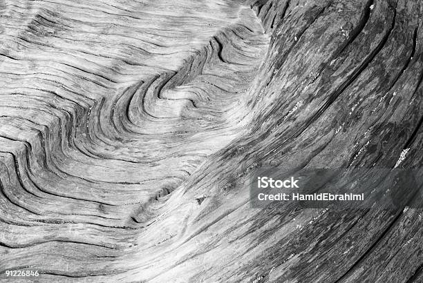 Onde Su Legno - Fotografie stock e altre immagini di Acqua - Acqua, Albero, Albero caduto